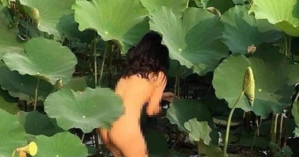 Điểm tin Thế giới Văn hoá: Chụp ảnh khoả thân ở đầm sen không phải là nghệ thuật!