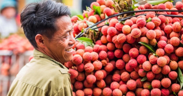 Tin kinh tế 6AM: Việt Nam xuất khẩu 100 tấn vải thiều sang Australia Tin kinh tế 6AM: Việt Nam xuất khẩu 100 tấn vải thiều sang Australia