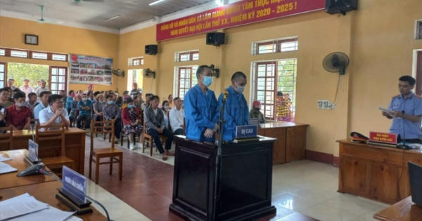 Hai cha con ở Yên Bái vướng vòng lao lý vì hủy hoại rừng Hai cha con ở Yên Bái vướng vòng lao lý vì hủy hoại rừng