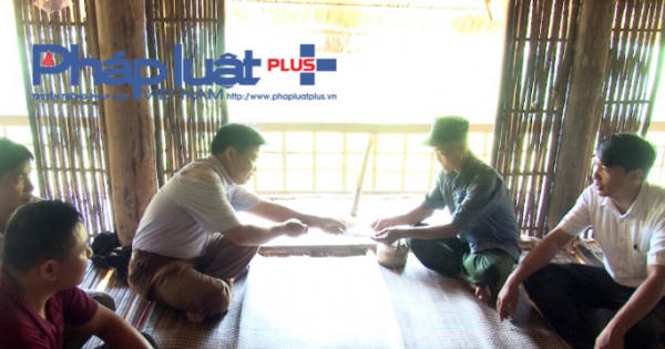 Hà Giang: Một em nhỏ tử vong do ong đốt