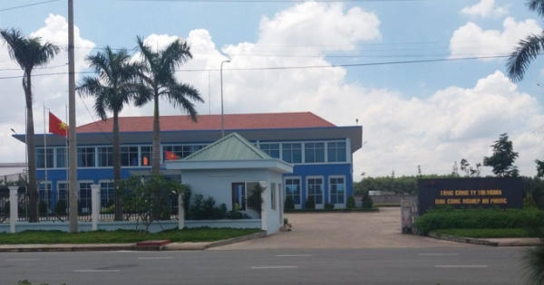 Vụ công ty Tín Nghĩa chặt hạ 10 ha tràm của dân: Bộ Tài nguyên và Môi trường đang kiểm tra, làm rõ