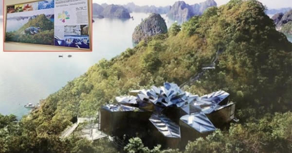 Lộ loạt sai phạm sau thanh tra dự án trong vùng lõi di sản Vịnh Hạ Long