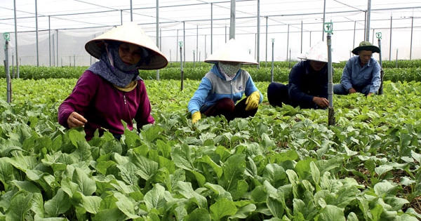 Đất Đỏ nỗ lực trở thành huyện nông thôn mới