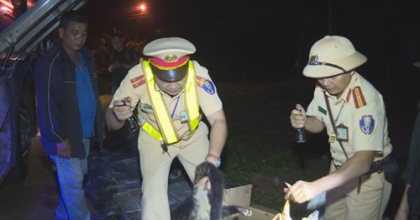 Liên tiếp phát hiện xe khách chở thú rừng ở Đắk Lắk