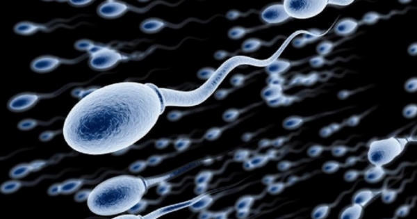 Tại sao nam giới ngày càng yếu? Tại sao nam giới ngày càng yếu?