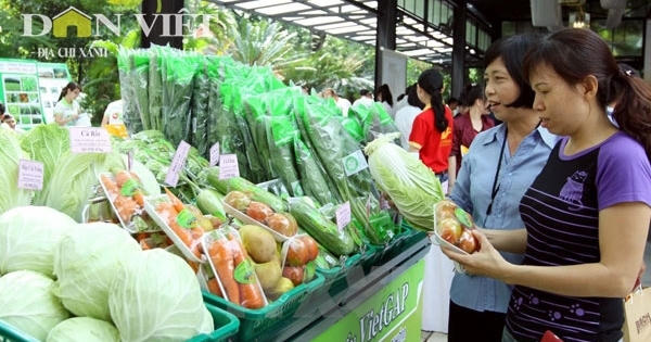 Làm gì để được chứng nhận VietGAP? Làm gì để được chứng nhận VietGAP?