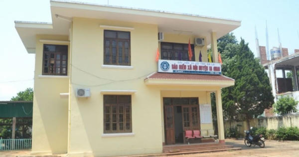 Cán bộ huyện, xã tiếp tay công nhân công ty cà phê chiếm đoạt tiền BHXH Cán bộ huyện, xã tiếp tay công nhân công ty cà phê chiếm đoạt tiền BHXH
