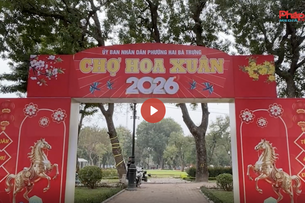 Chợ hoa xuân Tết 2026: Đông người xem, vắng khách mua