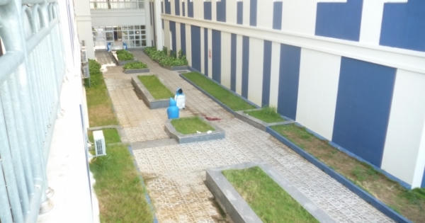 Đồng Nai: Nam thanh niên mang dao vào bệnh viện la hét rồi nhảy lầu tự tử