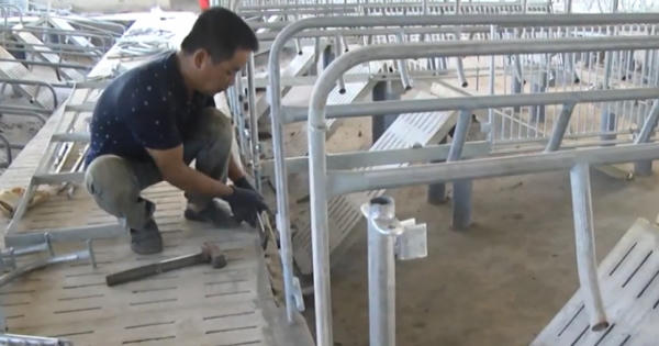 Đồng Nai: Tháo dỡ trại heo “khủng” xây dựng trái phép bên hồ Trị An