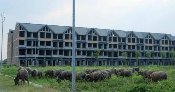 Địa ốc Plus 24h: Siêu cao tầng dày đặc trong phố, biệt thự tiền tỷ thành nơi nuôi thả trâu bò Địa ốc Plus 24h: Siêu cao tầng dày đặc trong phố, biệt thự tiền tỷ thành nơi nuôi thả trâu bò