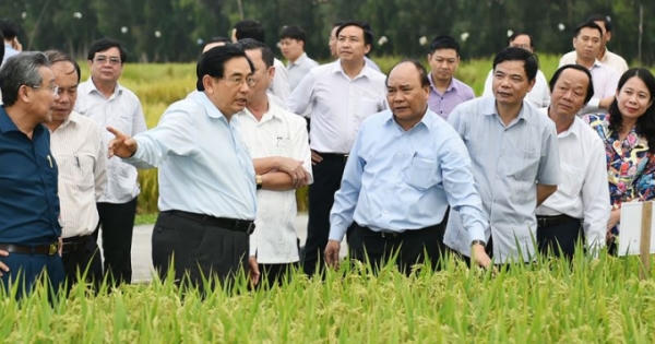 Hội nghị Chính phủ về phát triển bền vững ĐBSCL