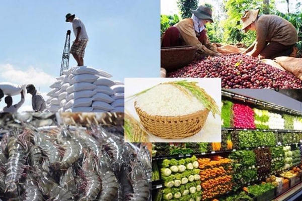 Bộ Nông nghiệp và Môi trường yêu cầu phát triển logistics nông sản gắn kiểm dịch, an toàn thực phẩm