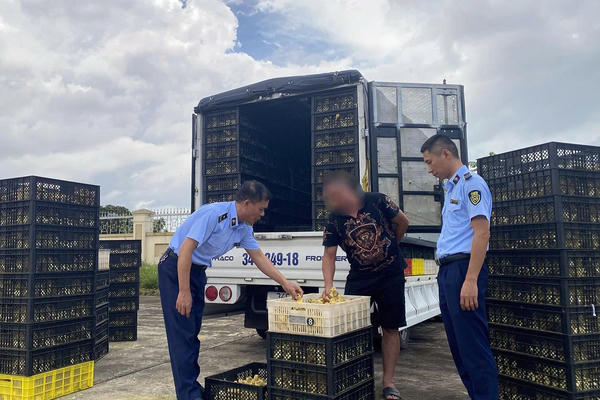 Quảng Ninh siết chặt phòng chống hàng giả, giữ vững thị trường 2026 Quảng Ninh siết chặt phòng chống hàng giả, giữ vững thị trường 2026