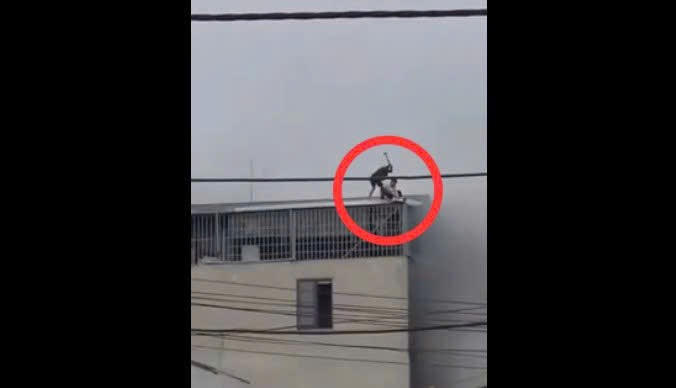 Video: Nghẹt thở giây phút người đàn ông bất chấp nguy hiểm phá mái tôn tòa nhà cao tầng cứu người trong hỏa hoạn Video: Nghẹt thở giây phút người đàn ông bất chấp nguy hiểm phá mái tôn tòa nhà cao tầng cứu người trong hỏa hoạn