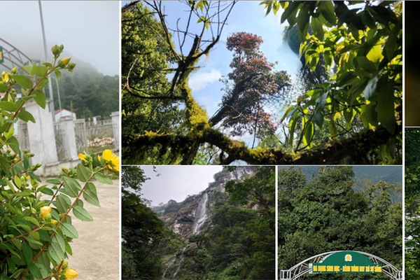 Lào Cai thành lập Vườn quốc gia Bát Xát