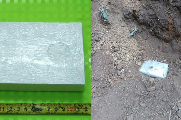 Chôn ma túy trong vườn những vẫn không qua mắt được cơ quan chức năng