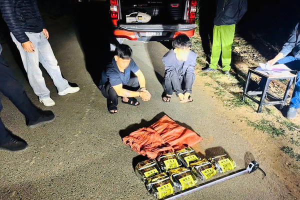 Hải quan liên tiếp triệt phá các vụ vận chuyển ma túy lớn qua biên giới