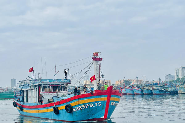 Che giấu chứng cứ IUU, mua thủy sản bất hợp pháp có thể bị phạt tới 1 tỉ đồng Che giấu chứng cứ IUU, mua thủy sản bất hợp pháp có thể bị phạt tới 1 tỉ đồng