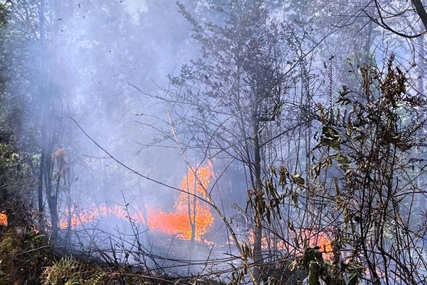 Cháy rừng trên diện rộng, Lai Châu huy động hơn 100 cán bộ, chiến sĩ tham gia dập lửa Cháy rừng trên diện rộng, Lai Châu huy động hơn 100 cán bộ, chiến sĩ tham gia dập lửa