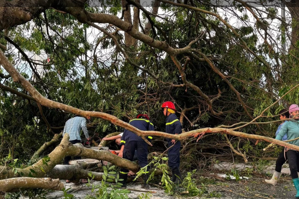 Lào Cai thiệt hại 25,6 tỷ đồng do dông, lốc gây ra Lào Cai thiệt hại 25,6 tỷ đồng do dông, lốc gây ra