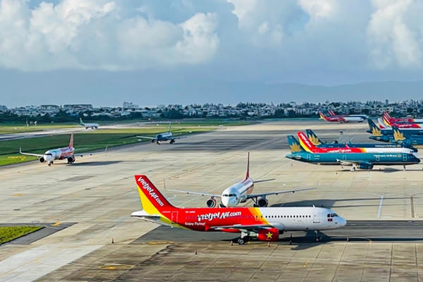 Siết chặt an toàn hàng không tại sân bay, tăng kiểm soát chim và vật nuôi xâm nhập