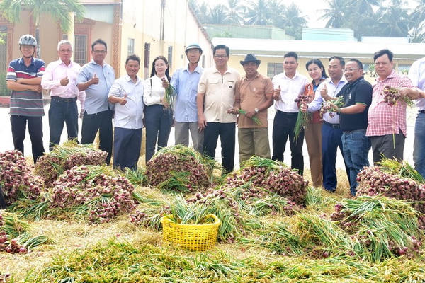 HTX Lộc Tím mở lối làm ăn bền vững cho nông dân Hiệp Thành (Cà Mau)