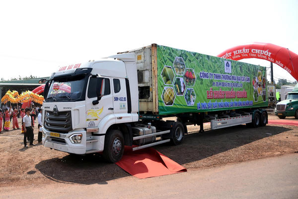 Đồng Nai xuất khẩu 220 tấn chuối tươi