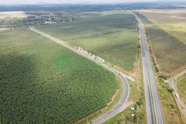 Đồng Nai ấn định loạt mốc GPMB đường tỉnh 769 kết nối sân bay Long Thành