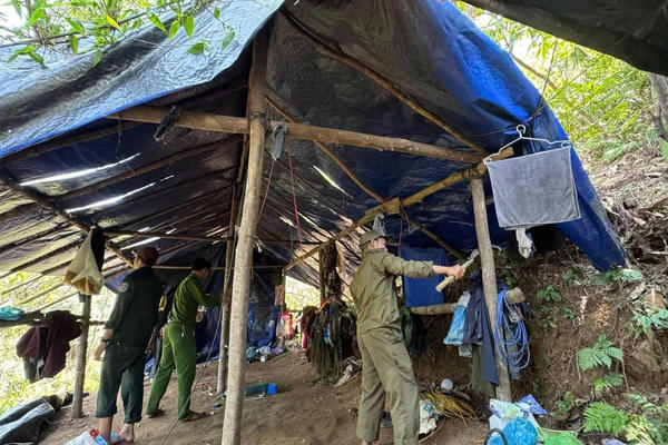 Bắt giữ đối tượng điều hành khai thác vàng trái phép, sử dụng vật liệu nổ Bắt giữ đối tượng điều hành khai thác vàng trái phép, sử dụng vật liệu nổ