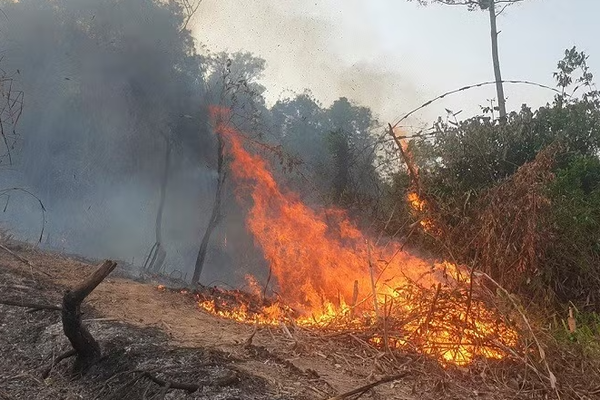 Điện Biên yêu cầu dừng đốt nương để siết chặt phòng cháy rừng Điện Biên yêu cầu dừng đốt nương để siết chặt phòng cháy rừng