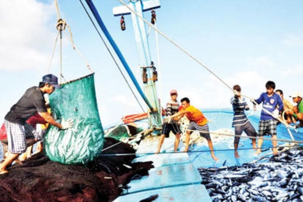 Tăng cường kiểm soát tàu cá qua hệ thống eCDT