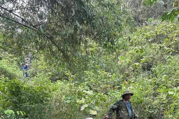 Tìm thấy thi thể người đàn ông tại Nghệ An sau 4 ngày mất liên lạc