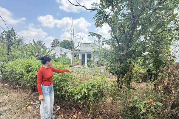 TAND khu vực 2 - Đồng Nai sẽ sớm xử lý vụ việc “Tranh chấp quyền sử dụng đất” TAND khu vực 2 - Đồng Nai sẽ sớm xử lý vụ việc “Tranh chấp quyền sử dụng đất”