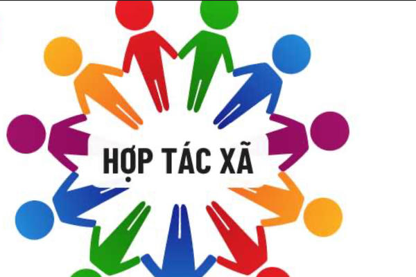 Kinh tế tập thể đóng góp 30% GDP cả nước qua hệ sinh thái hộ thành viên Kinh tế tập thể đóng góp 30% GDP cả nước qua hệ sinh thái hộ thành viên