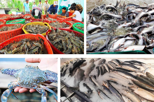 Xuất khẩu thủy sản quý I/2026 tăng 8%, Trung Quốc đóng vai trò dẫn dắt của toàn thị trường Xuất khẩu thủy sản quý I/2026 tăng 8%, Trung Quốc đóng vai trò dẫn dắt của toàn thị trường