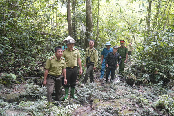 Tuyên Quang tăng cường phòng cháy, chữa cháy rừng trước tình hình diễn biến phức tạp