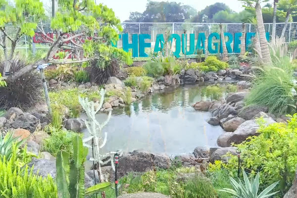 Làng Xanh hòa cùng thiên nhiên giữa khu ‘tam giác vàng’ phía Nam