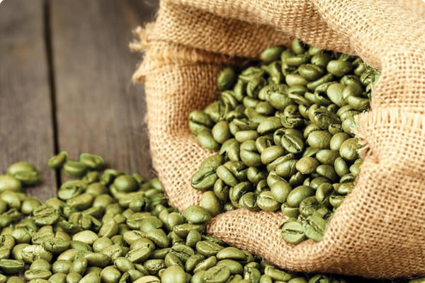 Nâng cao giá trị nông sản qua hệ sinh thái cà phê xanh lam