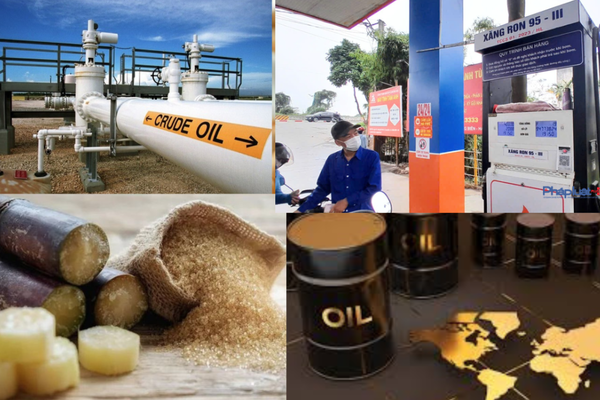 Giá dầu thô tăng trở lại