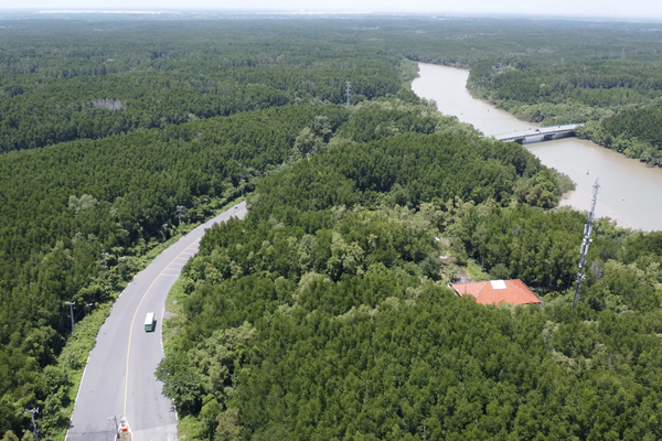 TP Hồ Chí Minh siết chặt phòng cháy rừng mùa khô