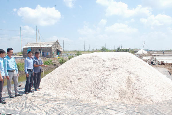 Xã Đông Hải (Cà Mau) tìm giải pháp ổn định diện tích, nâng sản lượng và giá trị nghề muối 