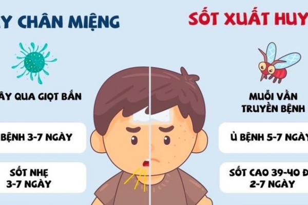 Bộ Y tế cảnh báo bệnh tay chân miệng và sốt xuất huyết tiếp tục gia tăng Bộ Y tế cảnh báo bệnh tay chân miệng và sốt xuất huyết tiếp tục gia tăng