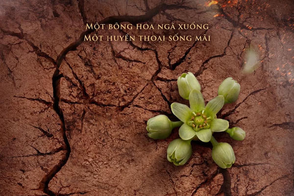 Khởi động dự án điện ảnh ‘Đất đỏ’: Góc nhìn mới về nữ anh hùng Võ Thị Sáu - Góc điện ảnh #143 
