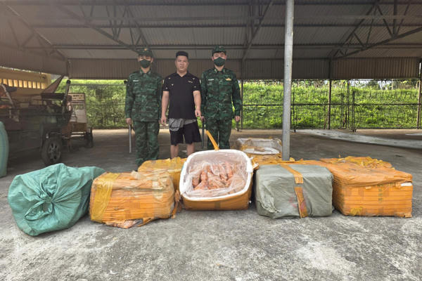 Bắt giữ đối tượng vận chuyển gần 500kg trứng gà non đông lạnh không rõ nguồn gốc tại khu vực biên giới