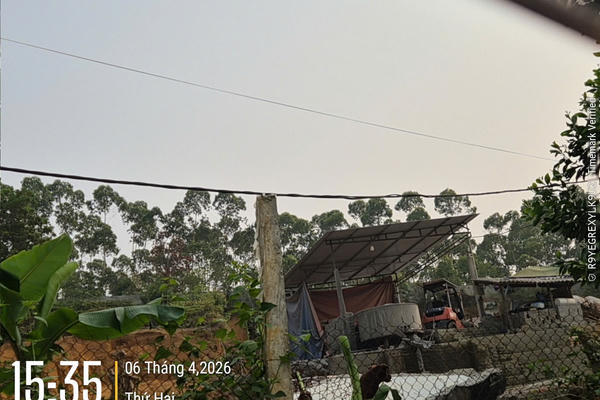 Xử lý vi phạm đất đai tại xã Tu Vũ (Phú Thọ): Buộc hoàn trả nguyên trạng diện tích đất rừng bị chuyển đổi trái phép