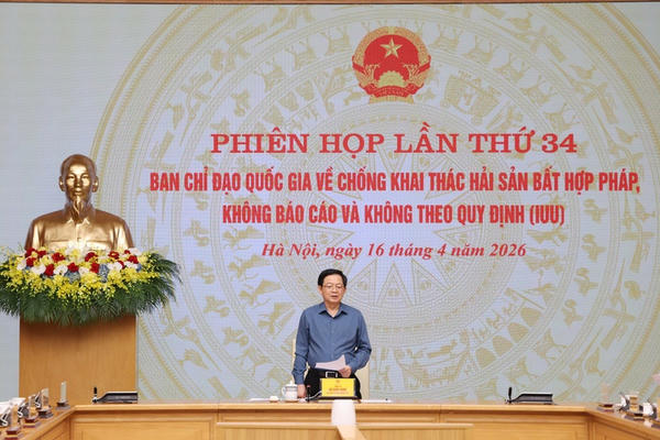 Xử lý nghiêm các đường dây môi giới đưa tàu cá khai thác trái phép ở vùng biển nước ngoài