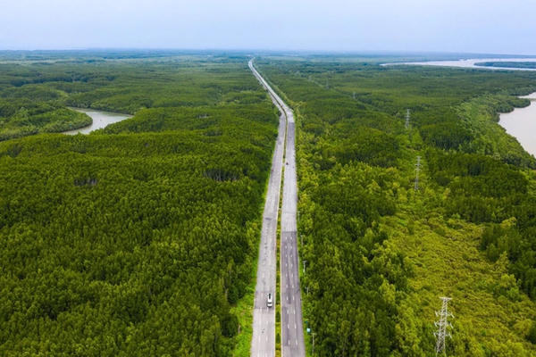 TP HCM giao doanh nghiệp lập đề xuất mở rộng trục Rừng Sác, dự kiến 8 làn xe