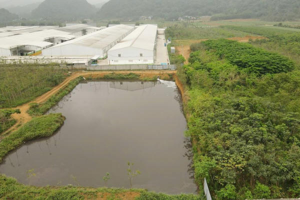 Thanh Hóa tạm dừng cơ sở giặt là sau phản ánh nước giếng đổi màu bất thường