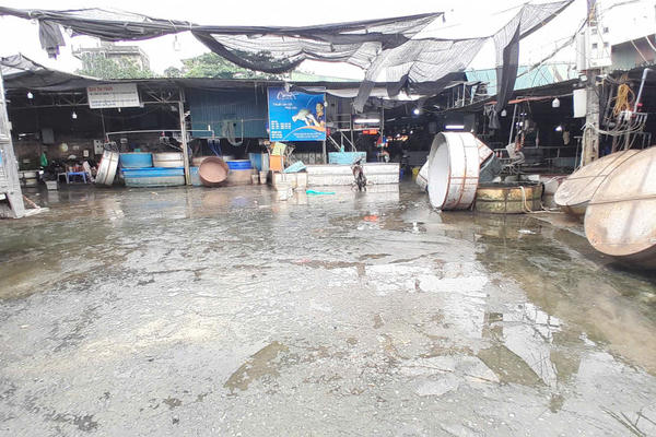 Cận cảnh chợ cá lớn nhất Hà Nội trước ngày giải toả